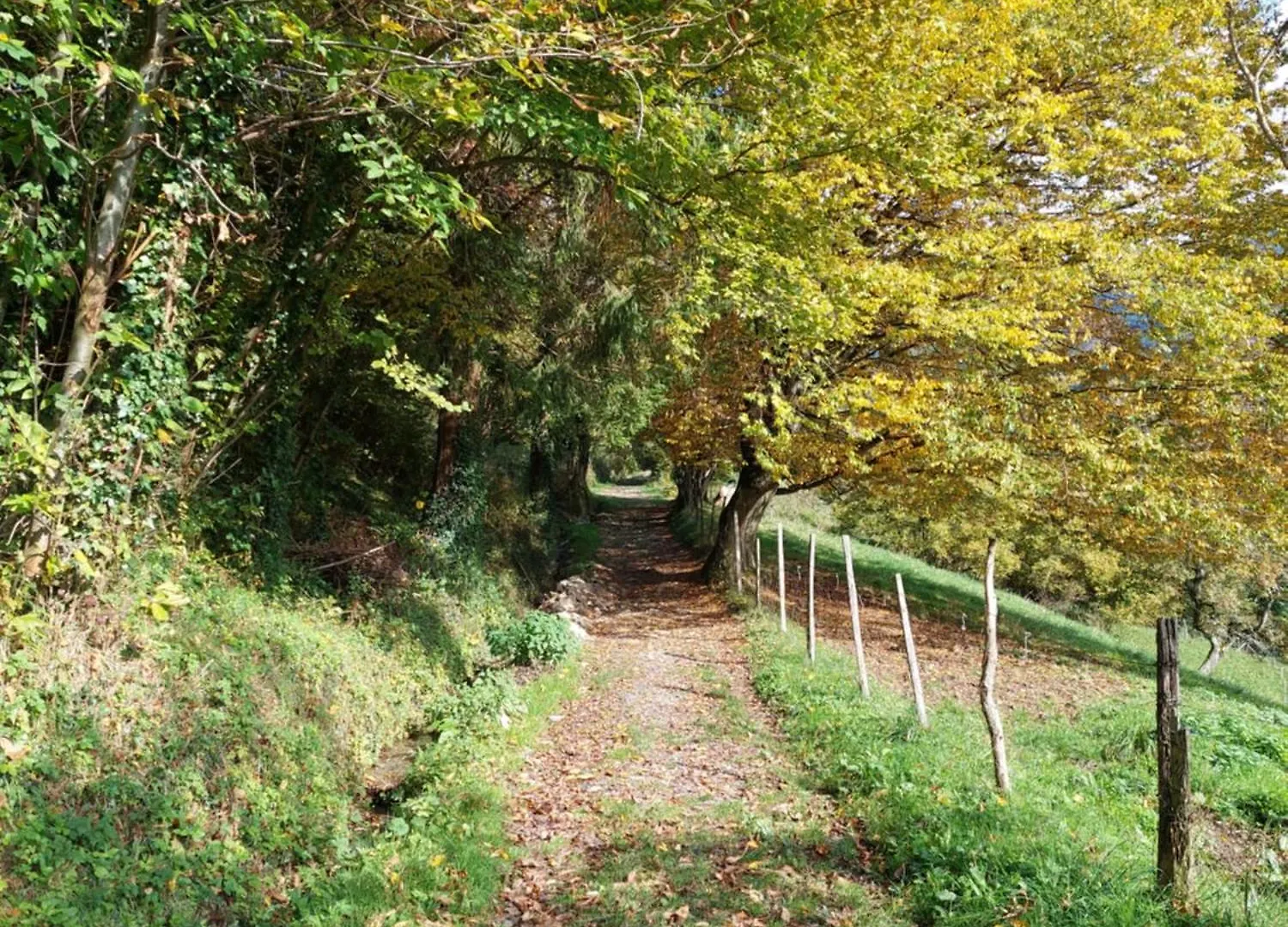 Gite Du Ruisseau Les Adrets 0*,