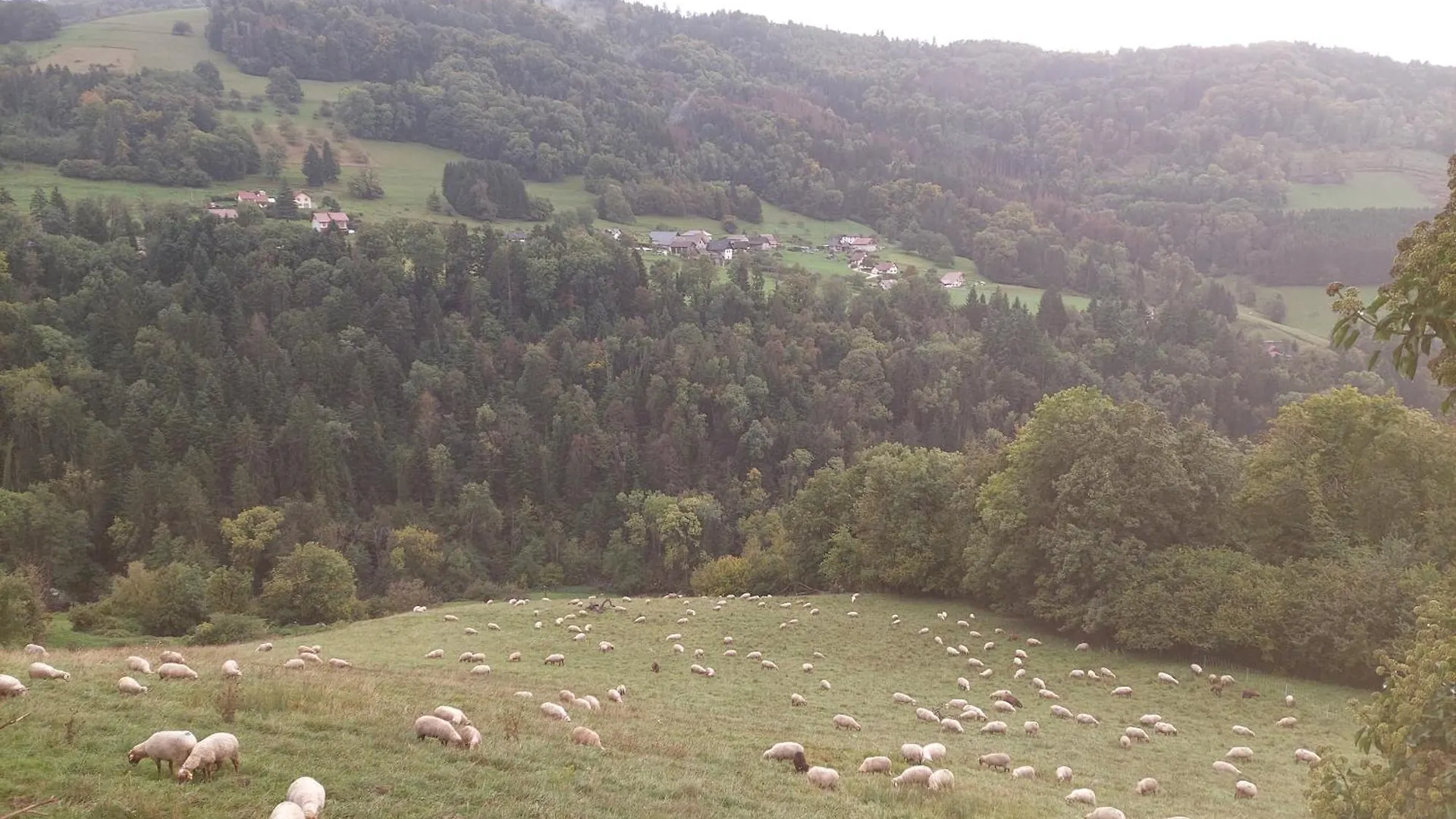 Gite Du Ruisseau Les Adrets 0*,  France