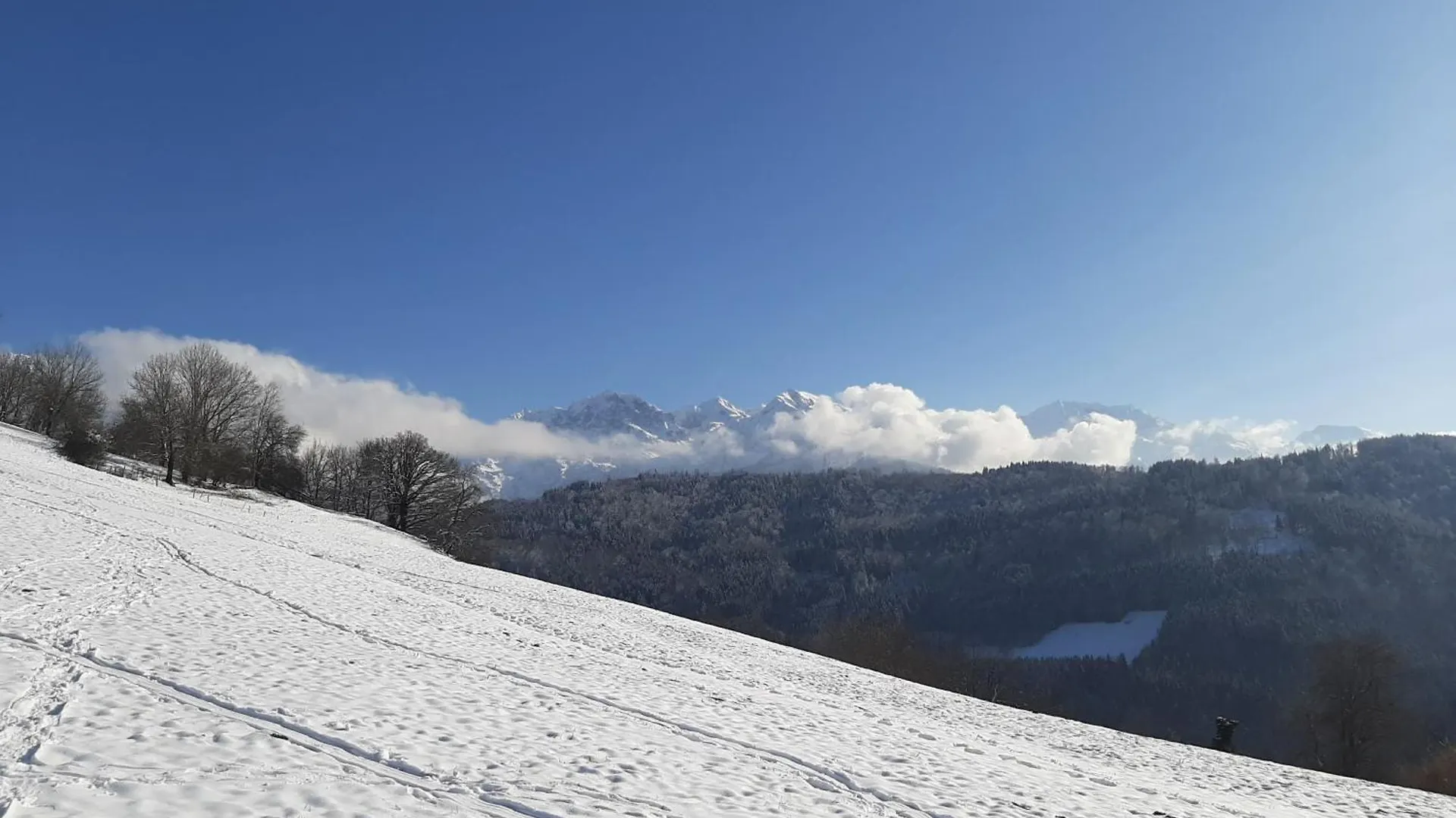 Apartment Gite Du Ruisseau Les Adrets France